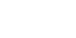 Logo The Customization Group